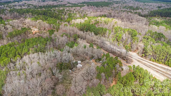 a view of a garden with a tree