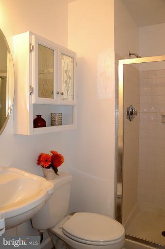 1723 Ivy Oak Square Reston, VA 20190 - Photo 11 of 28 Bath (Master)
