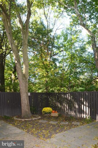 1723 Ivy Oak Square Reston, VA 20190 - Photo 25 of 28 Exterior (Rear)