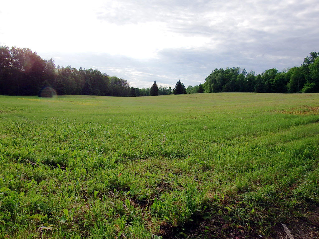 Lot 9-1 New Limerick Road Houlton, ME 04730 - Photo 10 of 40 leisner-maine-land-32