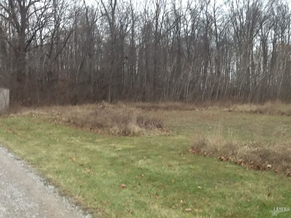 11334 Branstrator Road Fort Wayne, IN 46809 - Photo 2 of 2