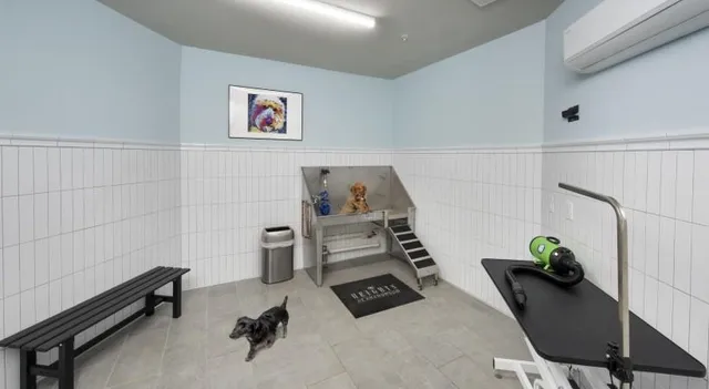 a view of a terrace with chairs