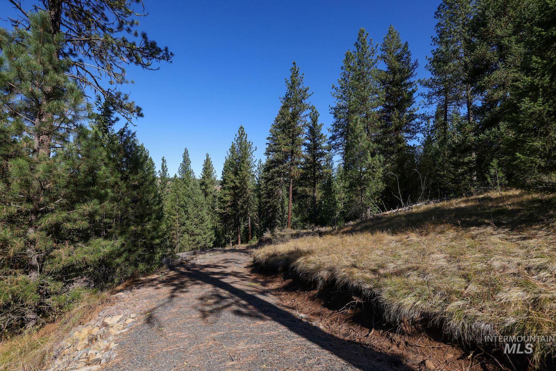 Lot 22 Rim Road New Meadows, ID 83654 - Photo 38 of 49