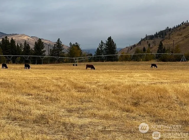 a view of outdoor area