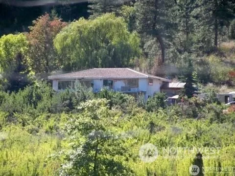 a view of a dry yard with trees