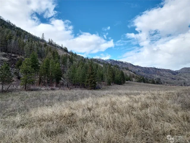 $989,000 | 1941 Highway 153, Carlton, WA 98814