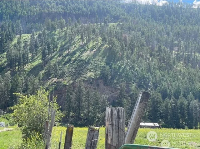 a view of a forest with a yard