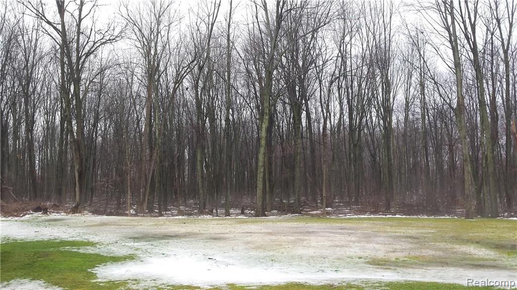 7131 Jorden Road Yale, MI 48097 - Photo 21 of 22 Gallery Image 21