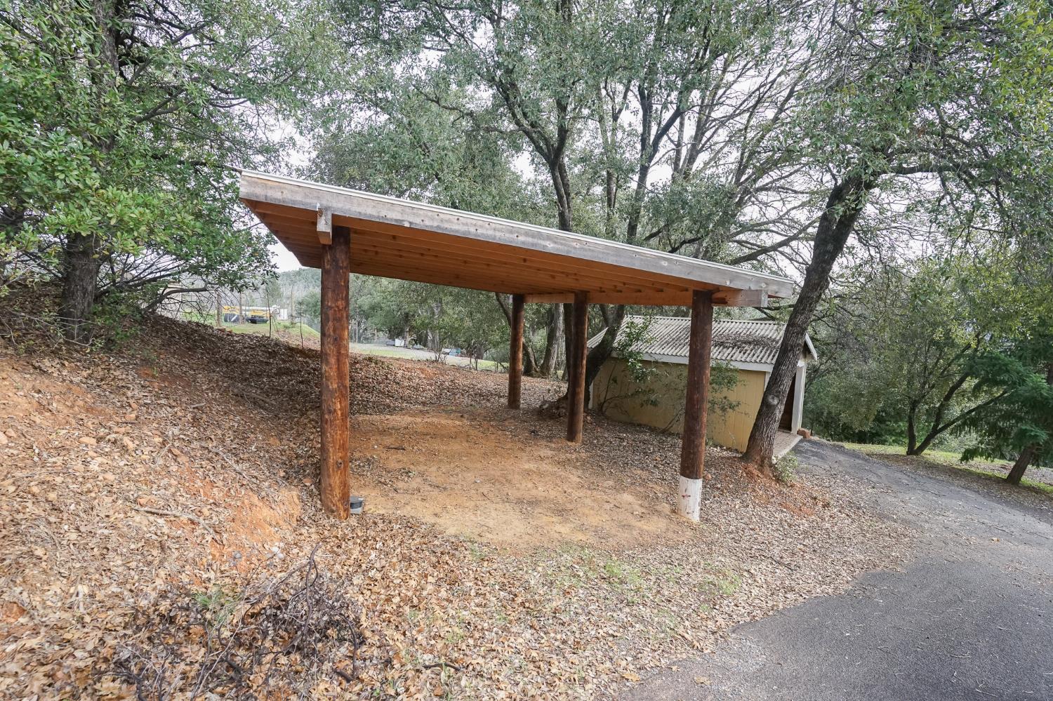16375 Jesus Maria Road Mokelumne Hill, CA 95245 - Photo 26 of 39 a view of backyard with large trees