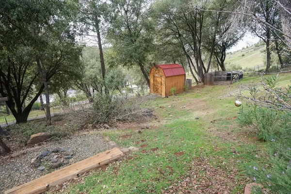 a view of a yard with large trees