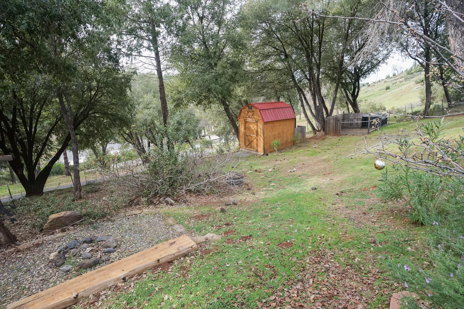 16375 Jesus Maria Road Mokelumne Hill, CA 95245 - Photo 36 of 39 a view of a yard with large trees