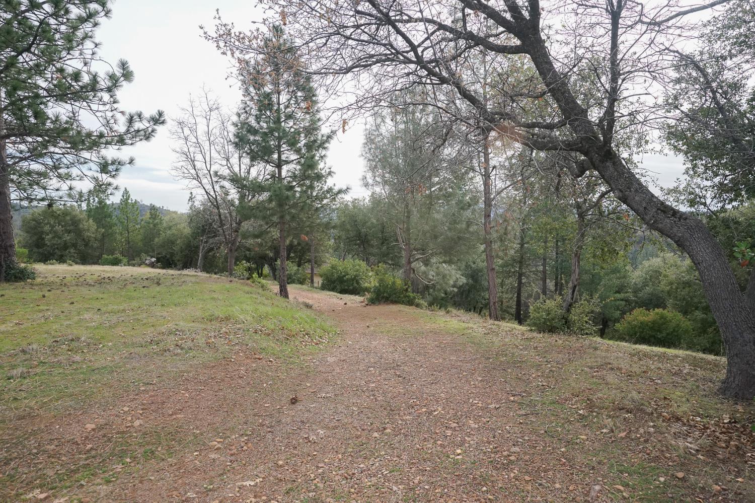 16375 Jesus Maria Road Mokelumne Hill, CA 95245 - Photo 39 of 39 a view of an outdoor space with a lake view