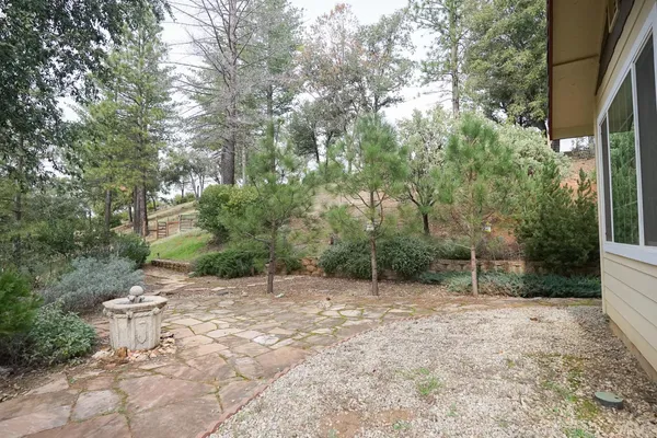 a view of a forest with trees