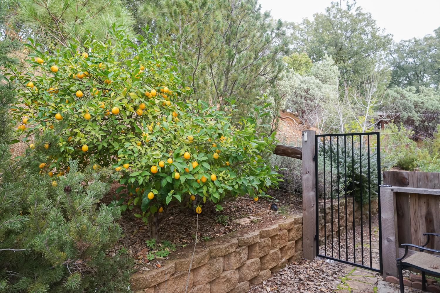 16375 Jesus Maria Road Mokelumne Hill, CA 95245 - Photo 6 of 39 a view of a entrance