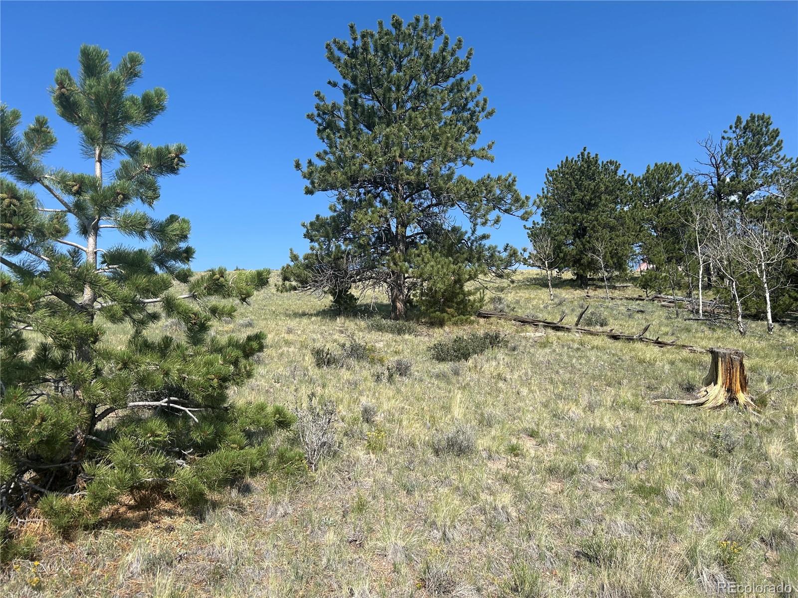 11414 Ranch Road Hartsel, CO 80449 - Photo 10 of 16 Gallery Image 10