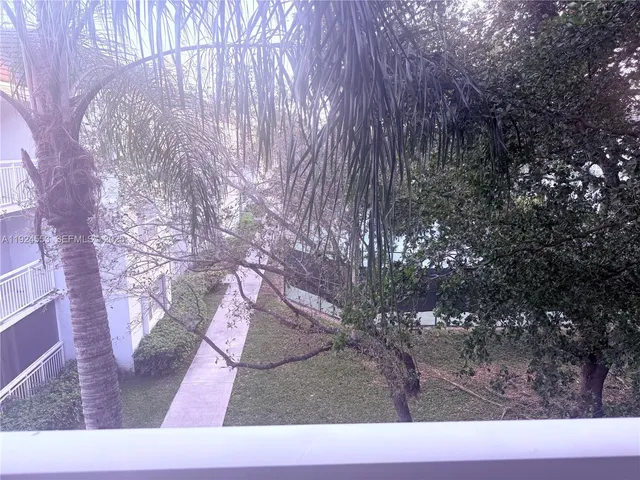 a black and white photo of a tree