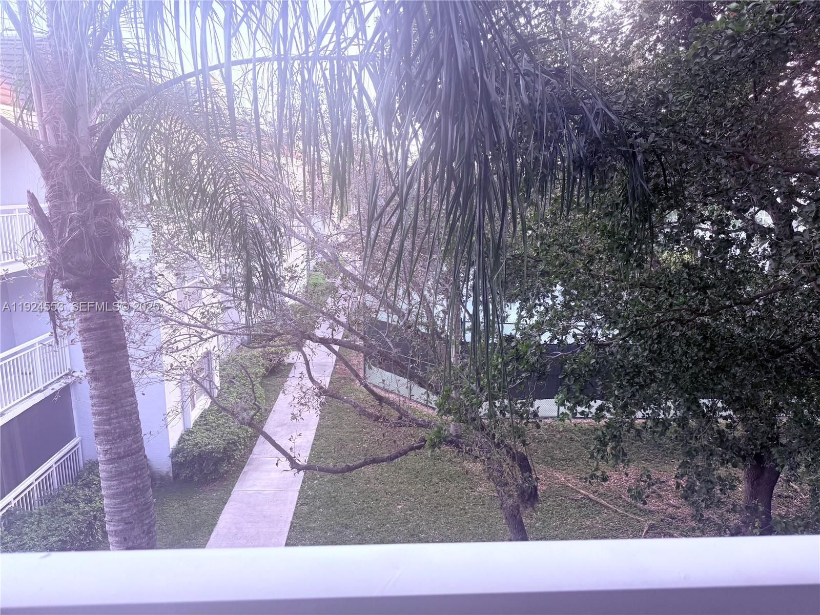 8540 Southwest 212th Street, Unit 308 Cutler Bay, FL 33189 - Photo 8 of 8 a black and white photo of a tree