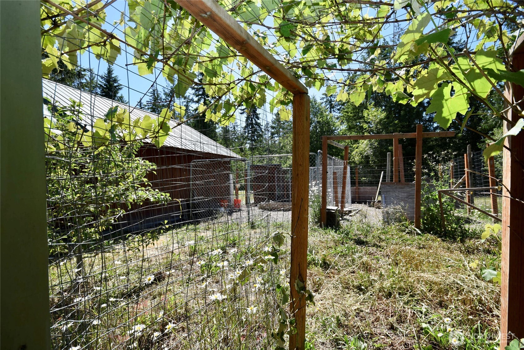 561 Country Acres Lane Sequim, WA 98382 - Photo 29 of 34