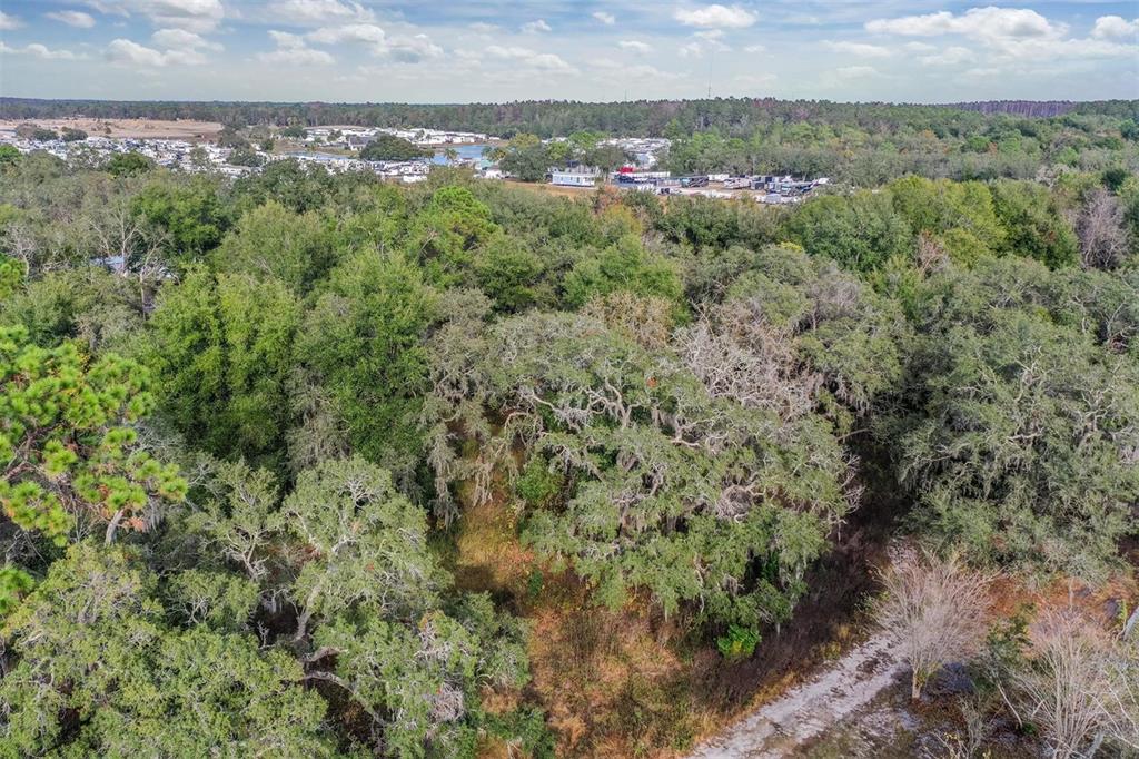 10209 Sybil Lane Hudson, FL 34667 - Photo 11 of 18 a view of a city and green field
