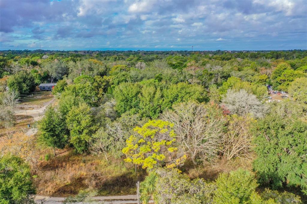 10209 Sybil Lane Hudson, FL 34667 - Photo 13 of 18 a view of a back yard