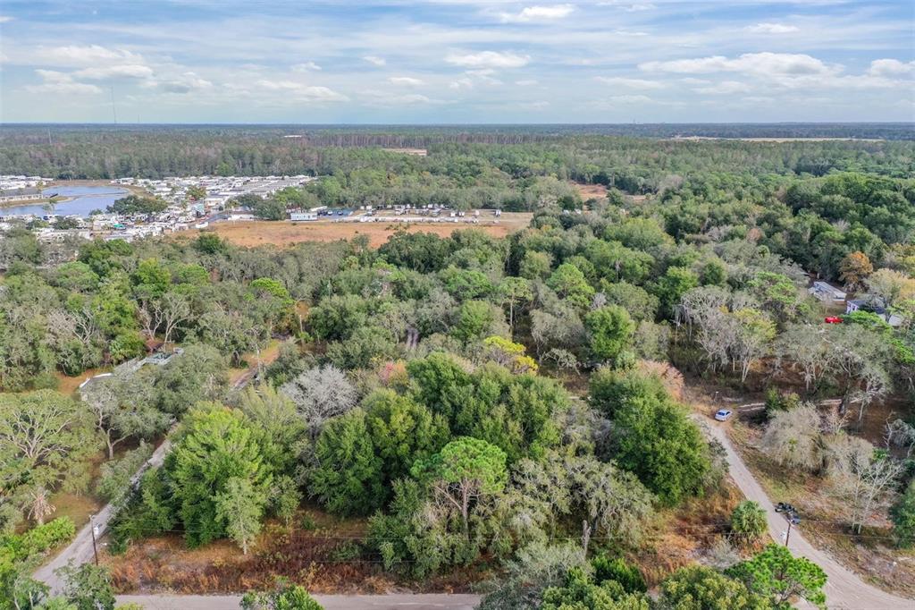 10209 Sybil Lane Hudson, FL 34667 - Photo 14 of 18