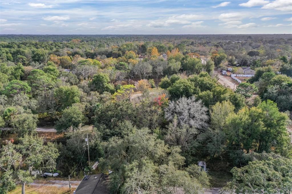 10209 Sybil Lane Hudson, FL 34667 - Photo 17 of 18 an aerial view of residential houses with outdoor space