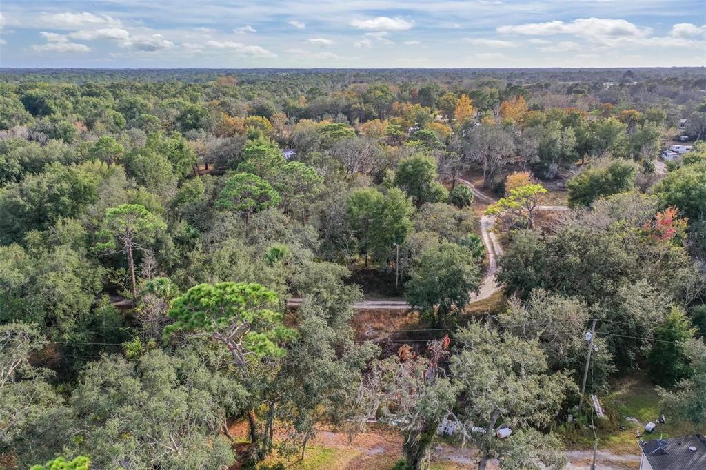 10209 Sybil Lane Hudson, FL 34667 - Photo 18 of 18 an aerial view of residential house with green space and fog