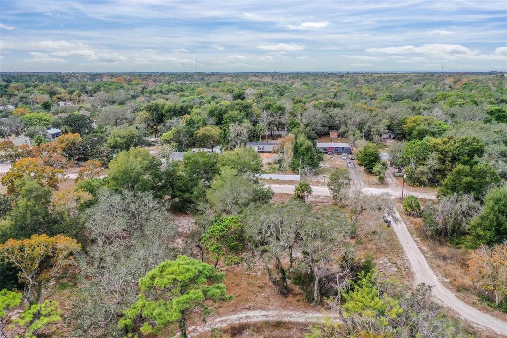 10209 Sybil Lane Hudson, FL 34667 - Photo 2 of 18 a view of a yard with a street