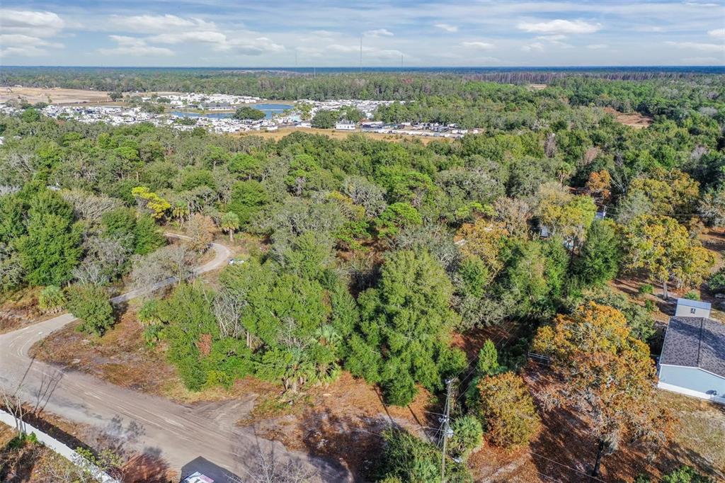 10209 Sybil Lane Hudson, FL 34667 - Photo 3 of 18 a view of a yard with an outdoor space