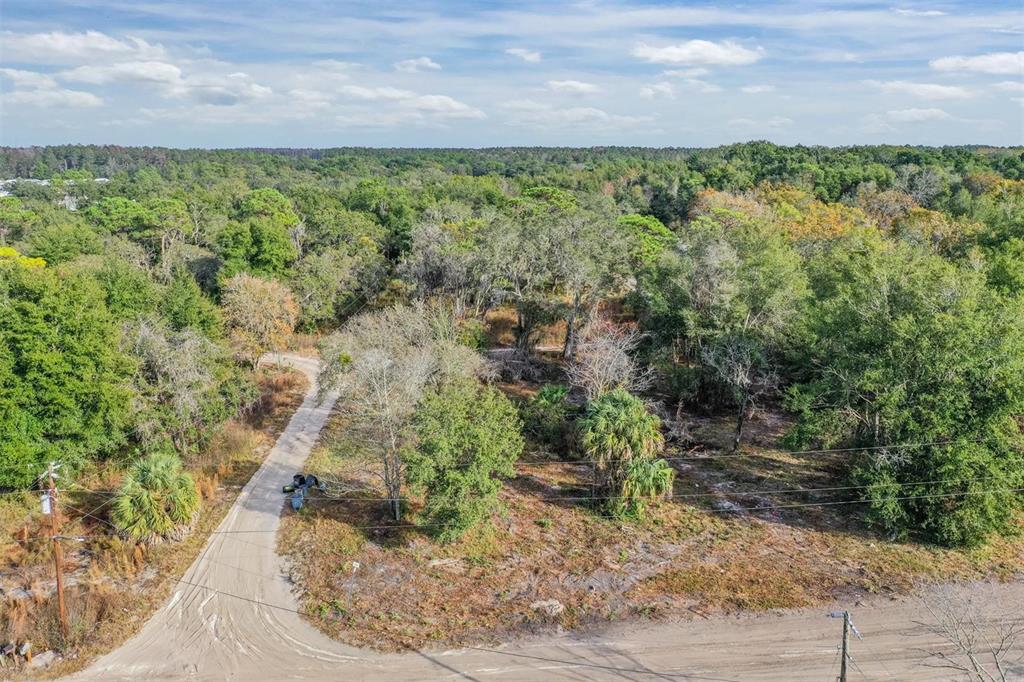 10209 Sybil Lane Hudson, FL 34667 - Photo 4 of 18 a view of a yard with an outdoor space