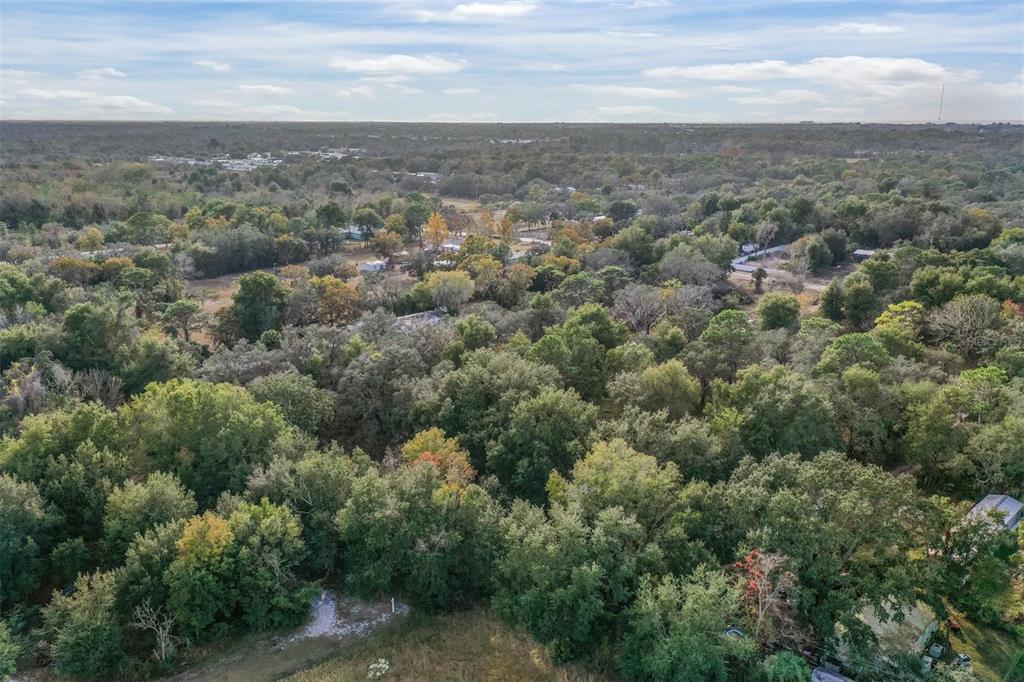 10209 Sybil Lane Hudson, FL 34667 - Photo 5 of 18 an aerial view of houses covered in trees