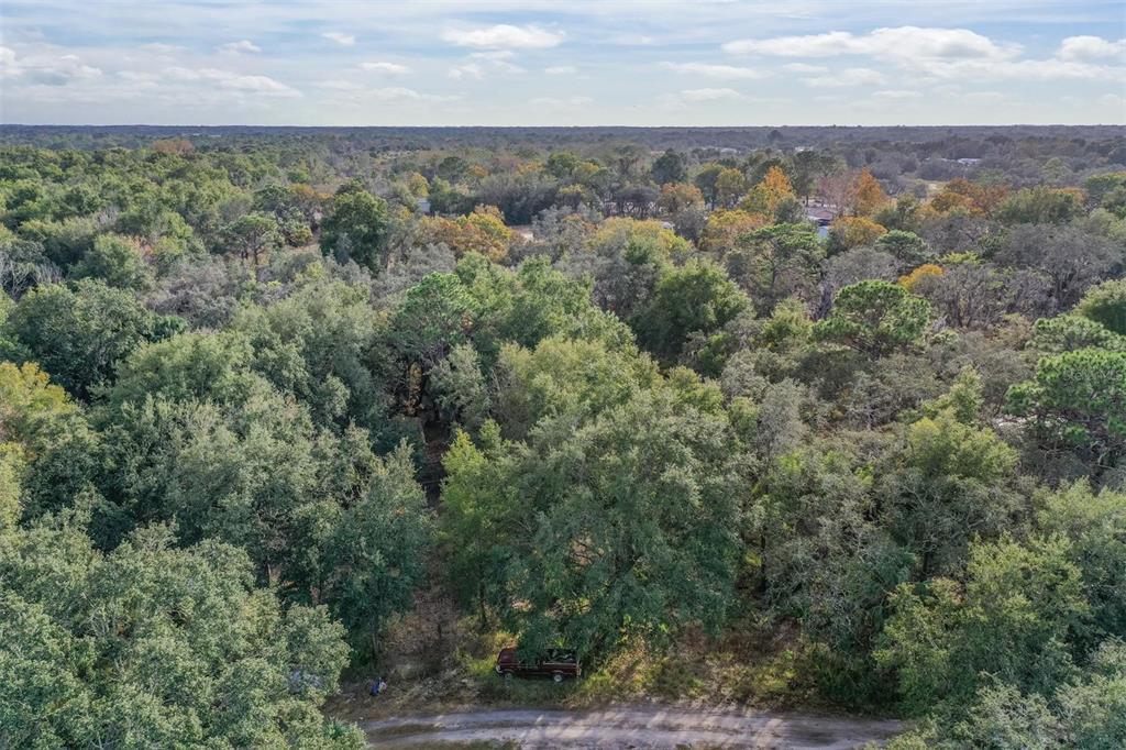 10209 Sybil Lane Hudson, FL 34667 - Photo 6 of 18 an aerial view of forest