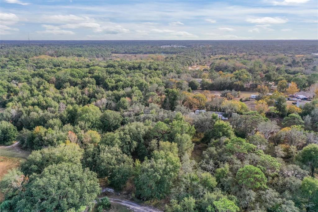 10209 Sybil Lane Hudson, FL 34667 - Photo 8 of 18