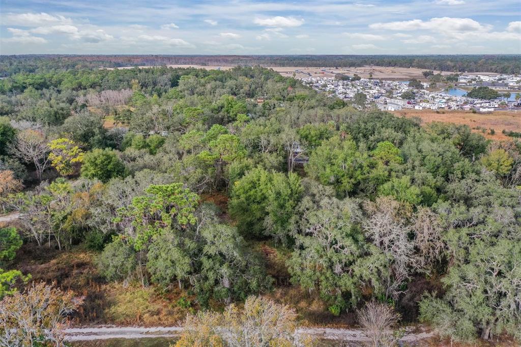 10209 Sybil Lane Hudson, FL 34667 - Photo 9 of 18 a view of a yard with an outdoor space