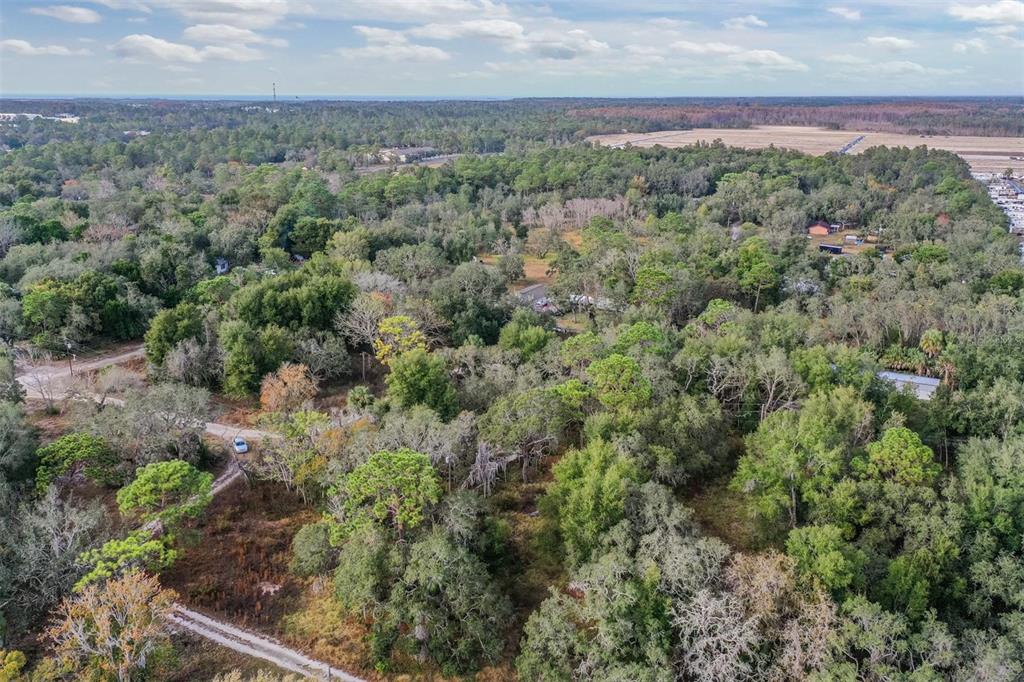 10209 Sybil Lane Hudson, FL 34667 - Photo 10 of 18 an aerial view of houses covered in trees