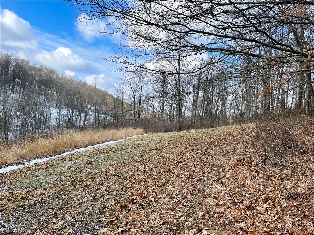 16602 Dog Road Southwest Newcomerstown, OH 43832 - Photo 11 of 29 Gallery Image 11