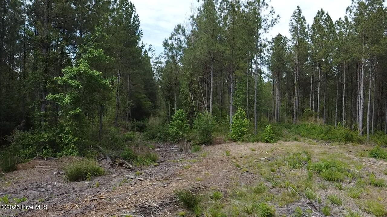 0 Cartledge Creek Road Rockingham, NC 28379 - Photo 32 of 32 2026-05-11-15-48-59-506
