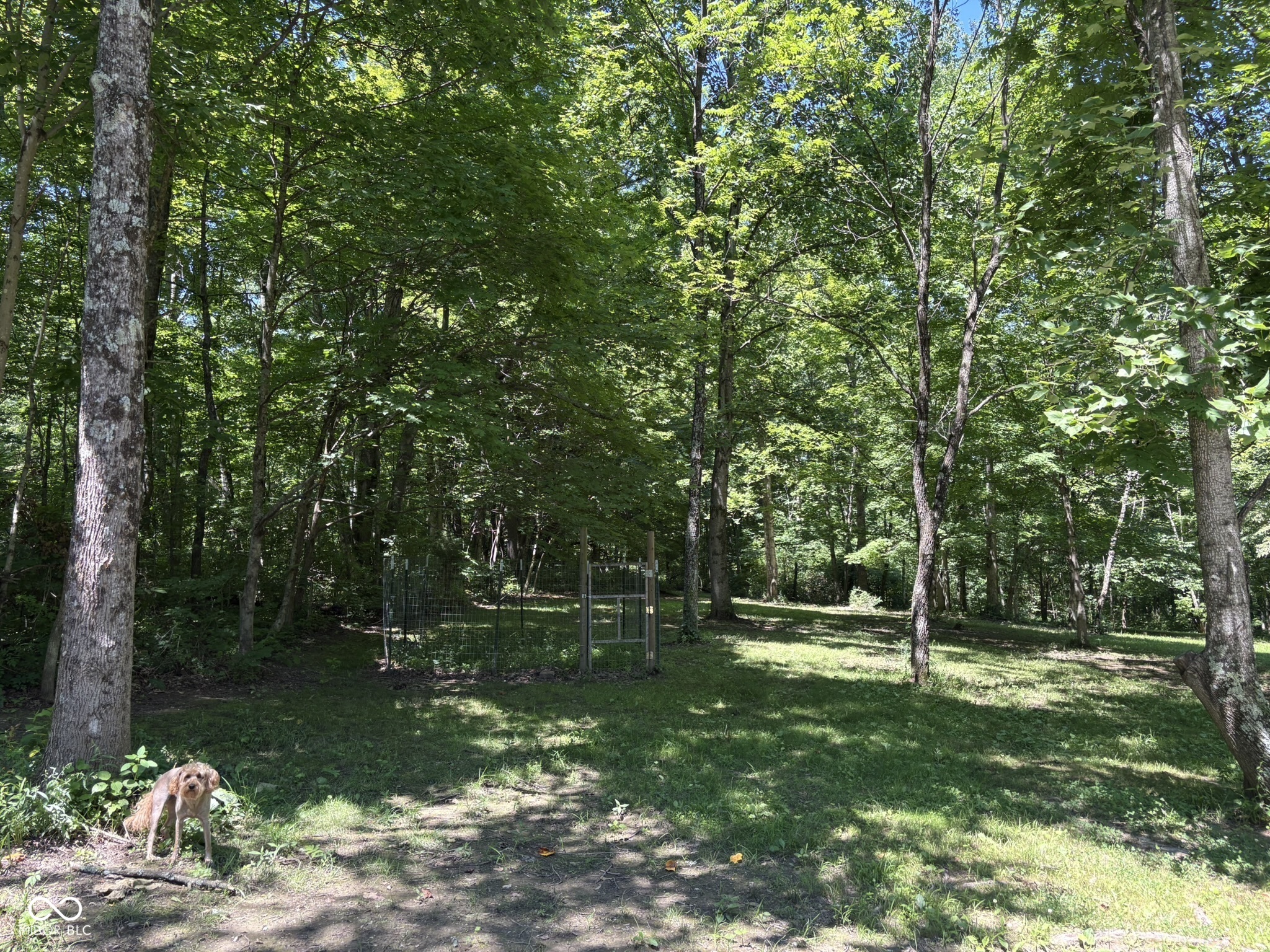 9713 East Birch Road Bloomfield, IN 47424 - Photo 17 of 50