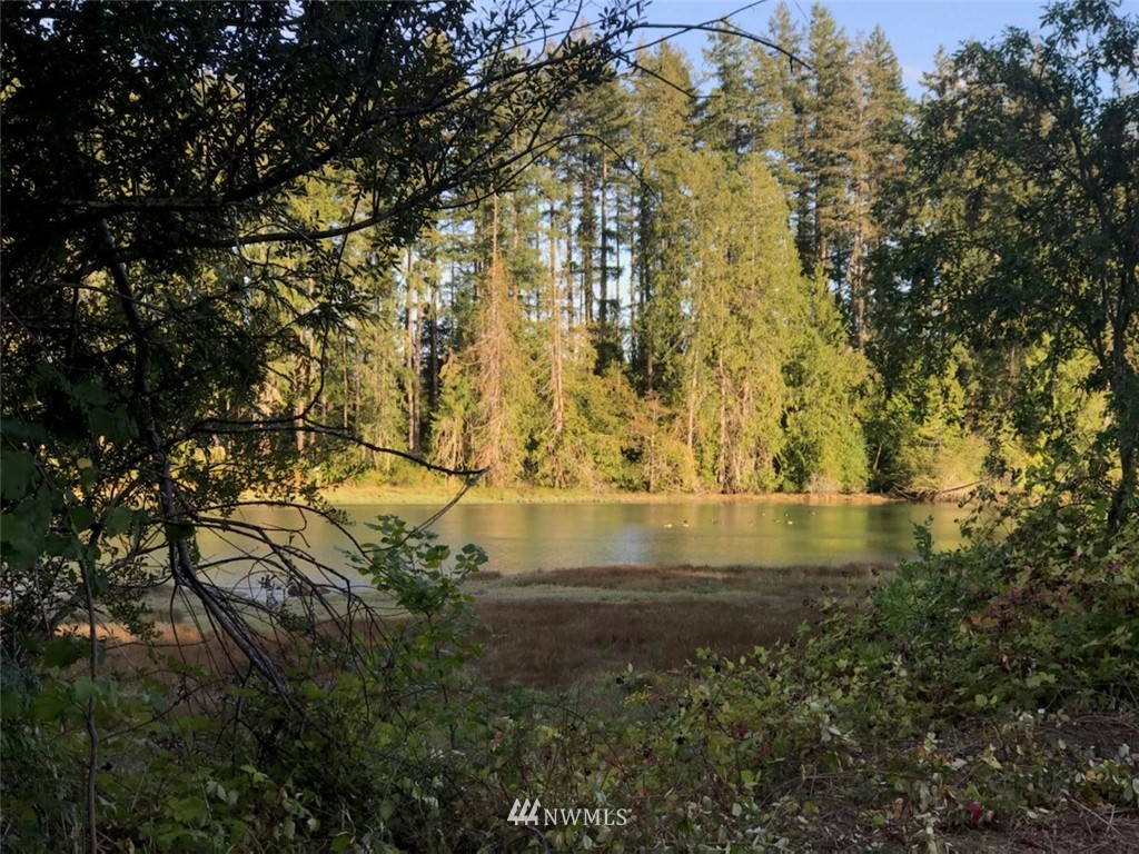 7240 East Grapeview Loop Road Allyn, WA 98524 - Photo 1 of 29 Gallery Image 1