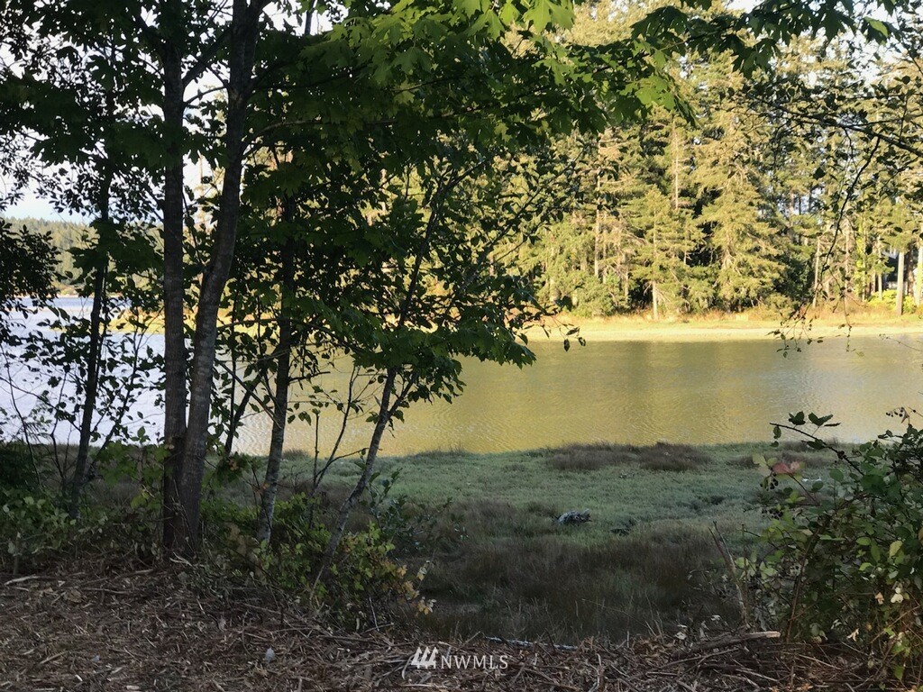 7240 East Grapeview Loop Road Allyn, WA 98524 - Photo 2 of 29 Gallery Image 2
