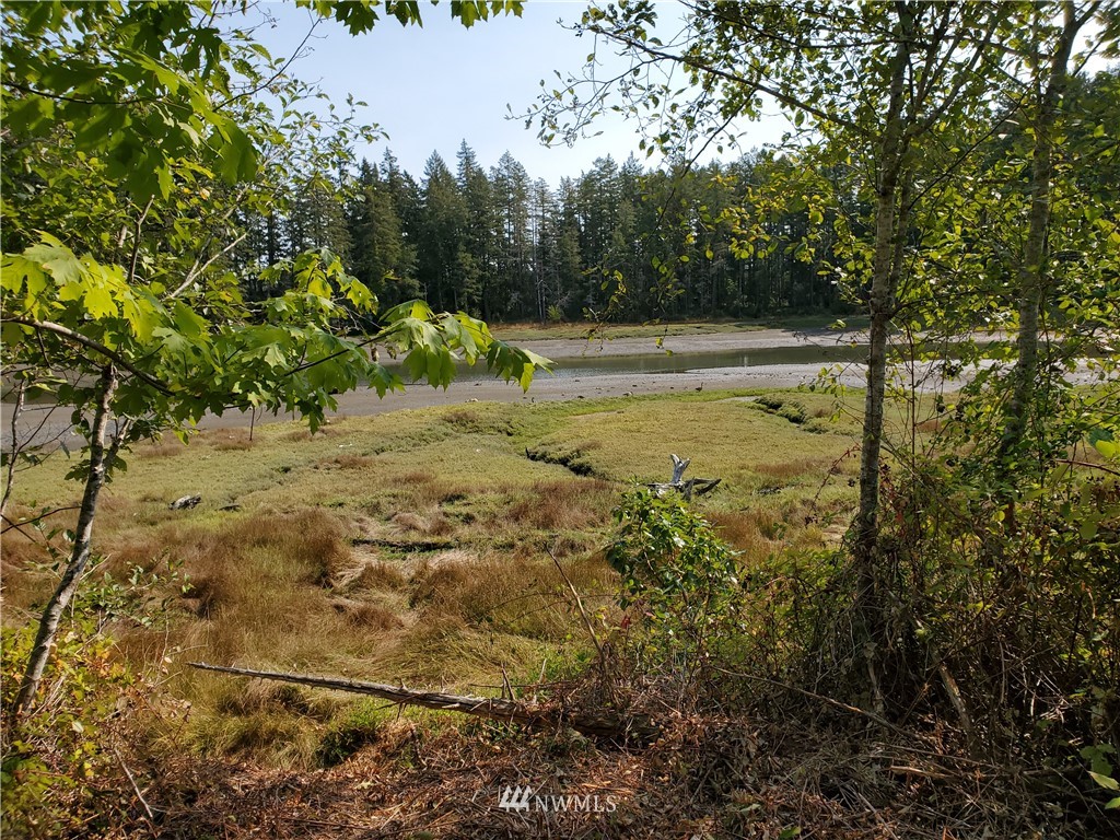 7240 East Grapeview Loop Road Allyn, WA 98524 - Photo 12 of 29 Gallery Image 12