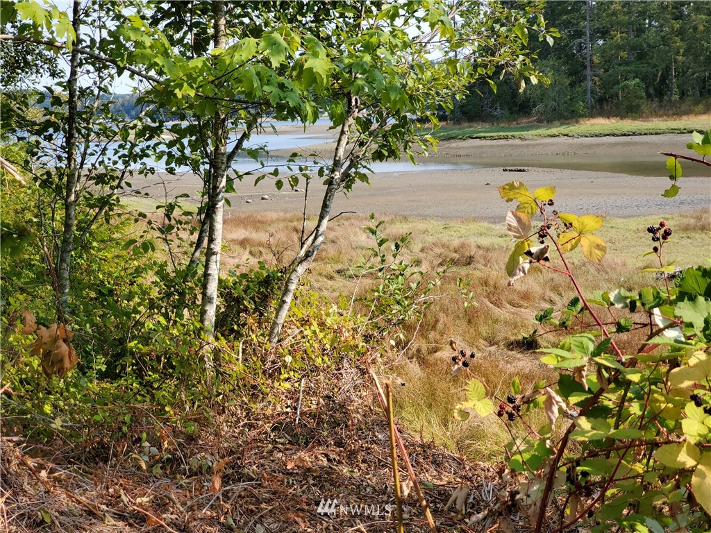 7240 East Grapeview Loop Road Allyn, WA 98524 - Photo 14 of 29 Gallery Image 14