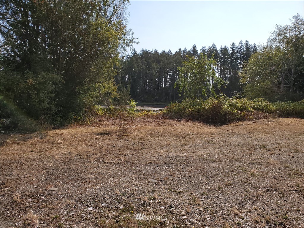 7240 East Grapeview Loop Road Allyn, WA 98524 - Photo 15 of 29 Gallery Image 15