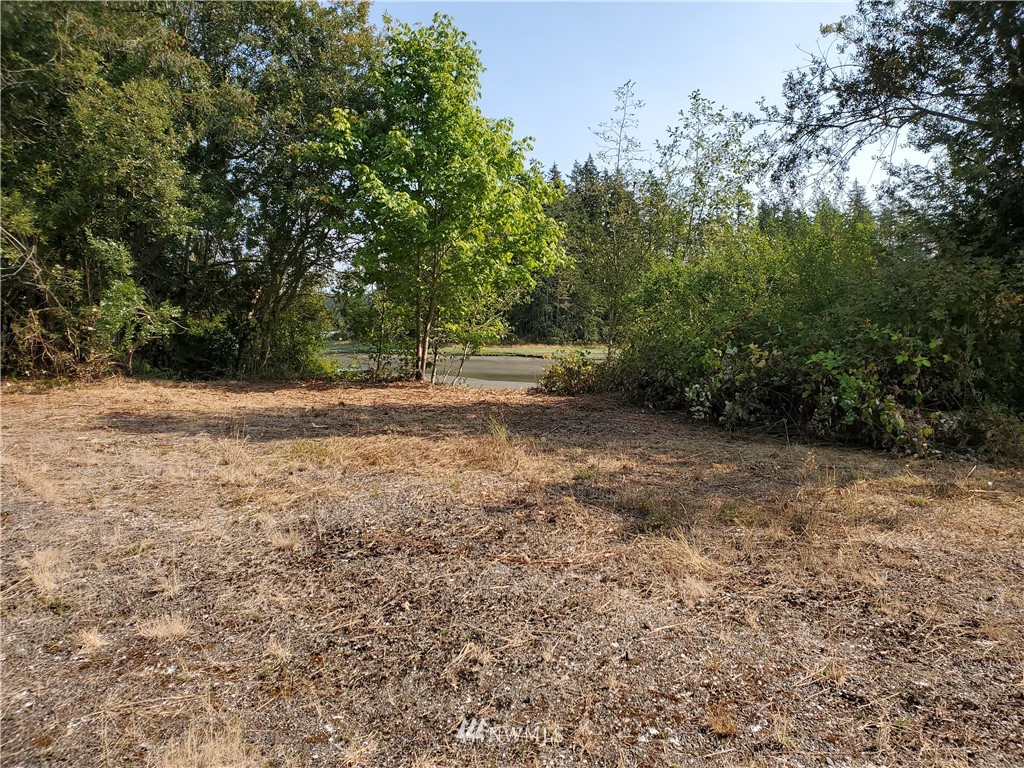 7240 East Grapeview Loop Road Allyn, WA 98524 - Photo 16 of 29 Gallery Image 16