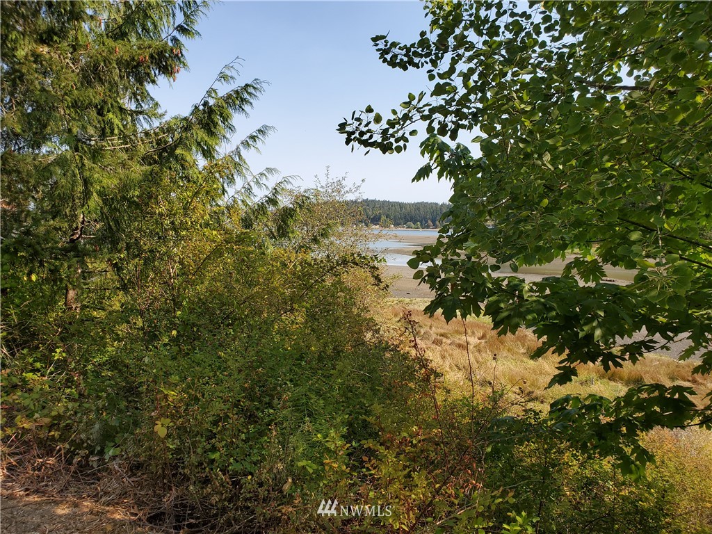 7240 East Grapeview Loop Road Allyn, WA 98524 - Photo 18 of 29 Gallery Image 18