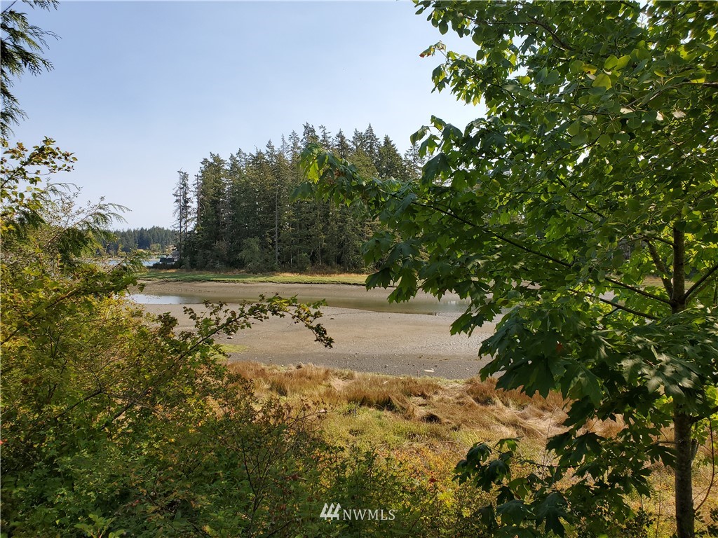 7240 East Grapeview Loop Road Allyn, WA 98524 - Photo 19 of 29 Gallery Image 19