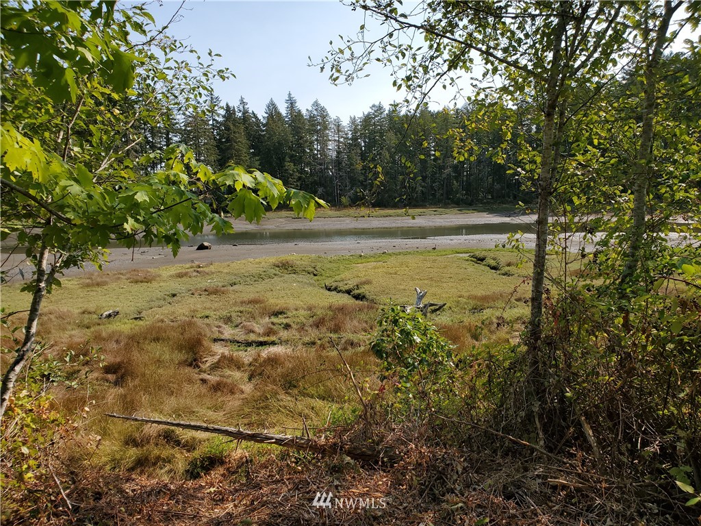 7240 East Grapeview Loop Road Allyn, WA 98524 - Photo 21 of 29 Gallery Image 21