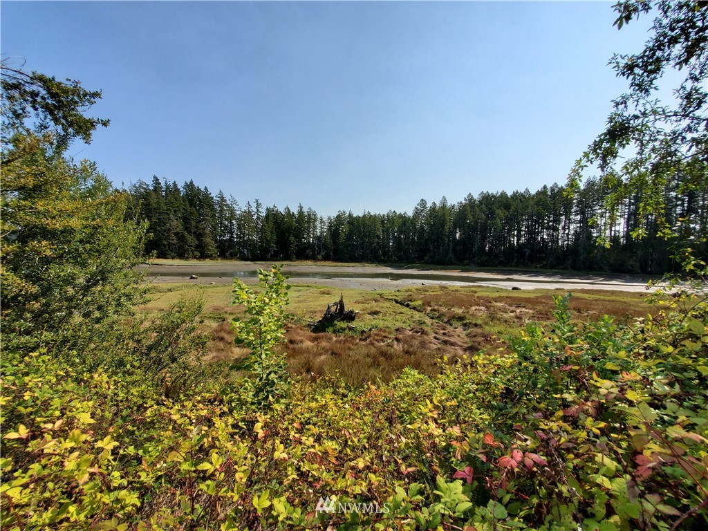 7240 East Grapeview Loop Road Allyn, WA 98524 - Photo 22 of 29 Gallery Image 22