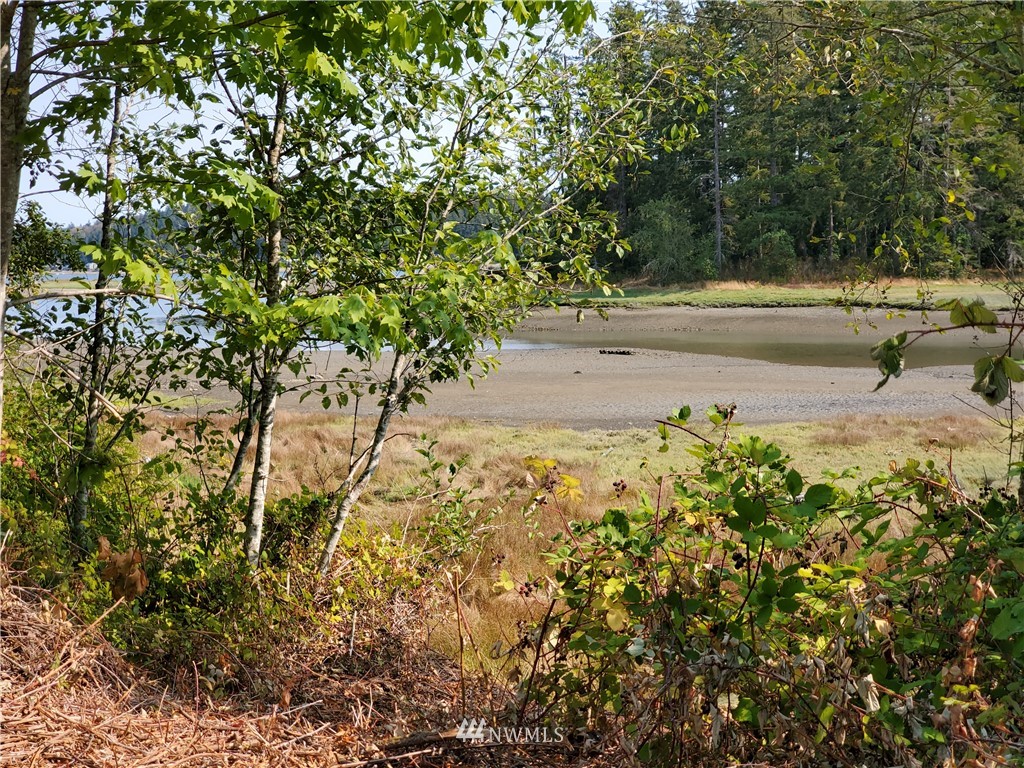 7240 East Grapeview Loop Road Allyn, WA 98524 - Photo 24 of 29 Gallery Image 24