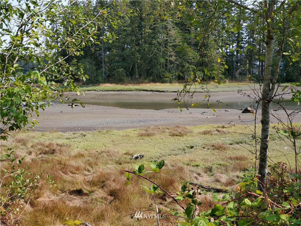 7240 East Grapeview Loop Road Allyn, WA 98524 - Photo 26 of 29 Gallery Image 26